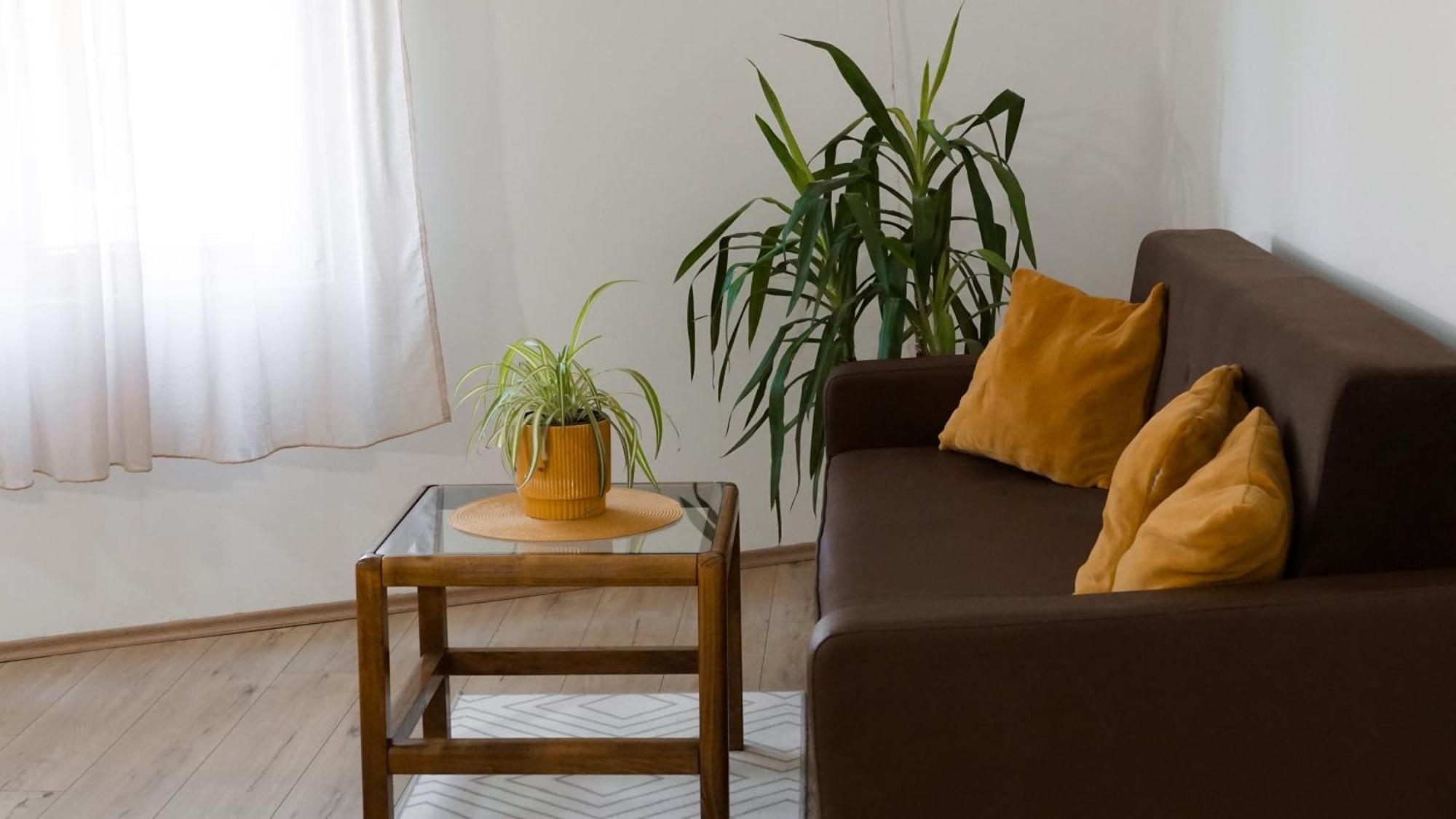 Apartmani Bubamara Leskovac Leskovac  Buitenkant foto
