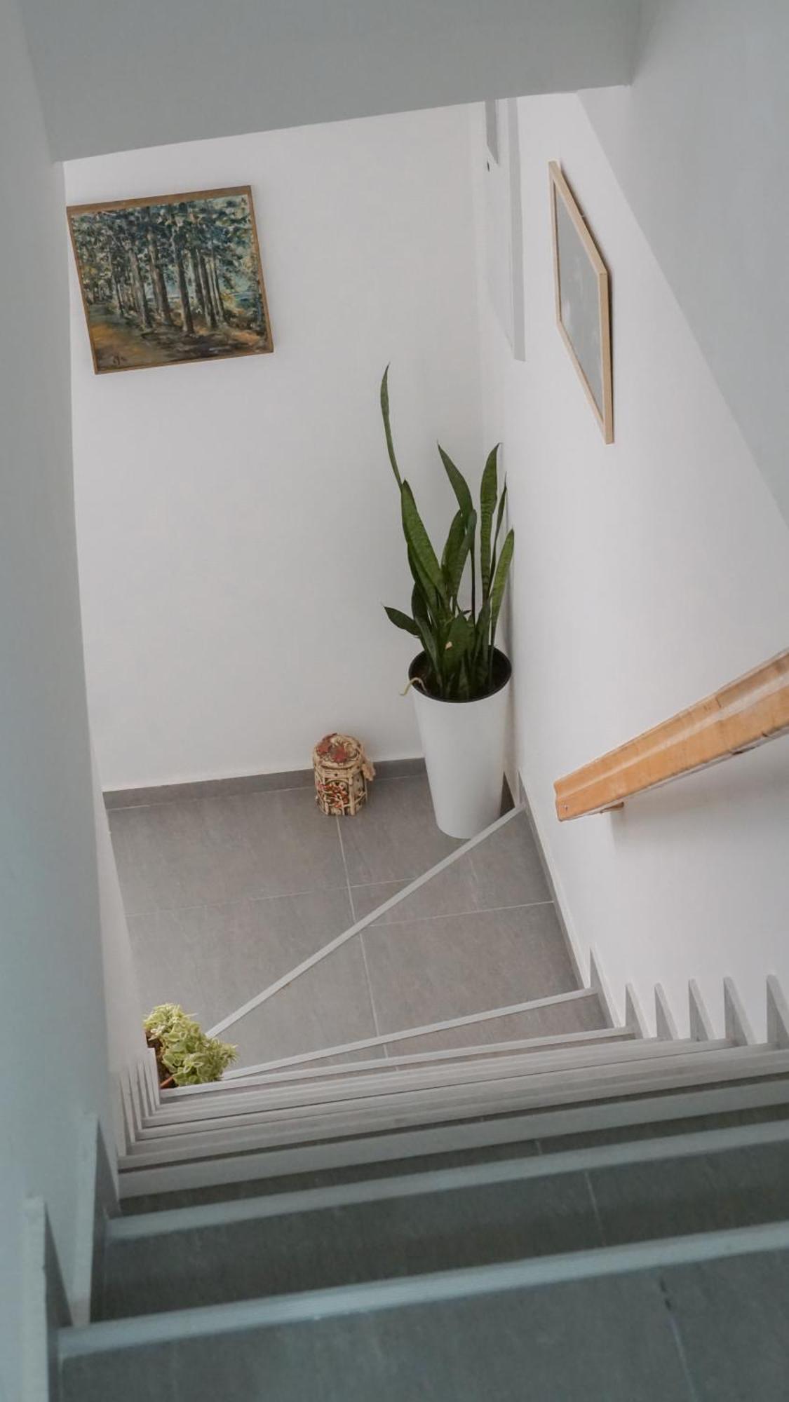 Apartmani Bubamara Leskovac Leskovac  Buitenkant foto